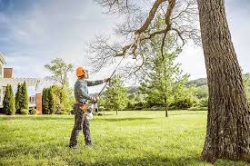 Best Hedge Trimming  in East Sonora, CA